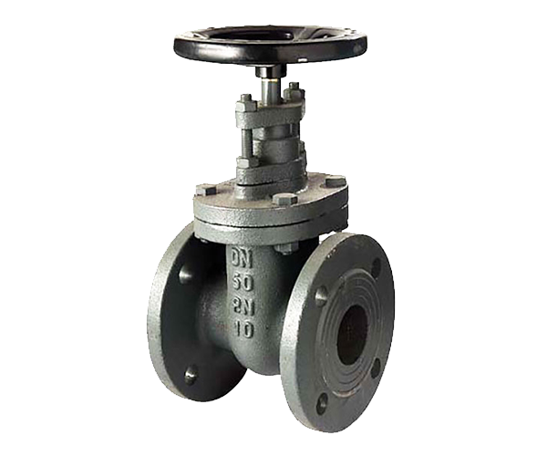 Definition of a Gate valve