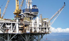 O-ring voor de Olie en Gas industrie